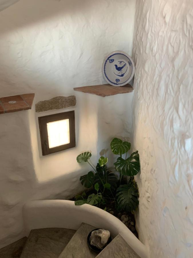 Lanzaroco, tu casa en La Vera Valverde de la Vera Exterior foto