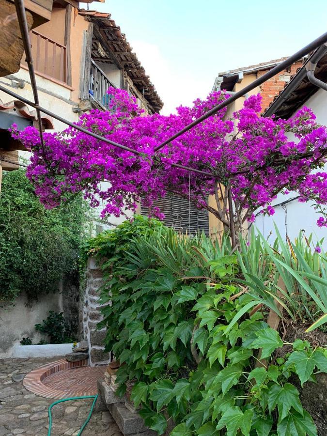 Lanzaroco, tu casa en La Vera Valverde de la Vera Exterior foto